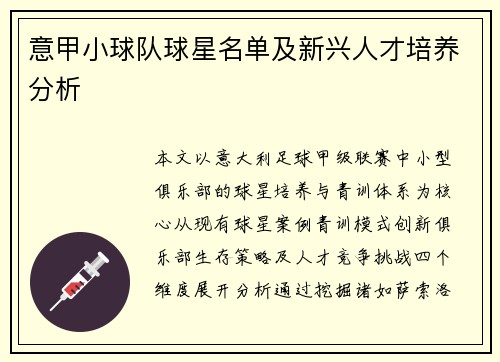 意甲小球队球星名单及新兴人才培养分析